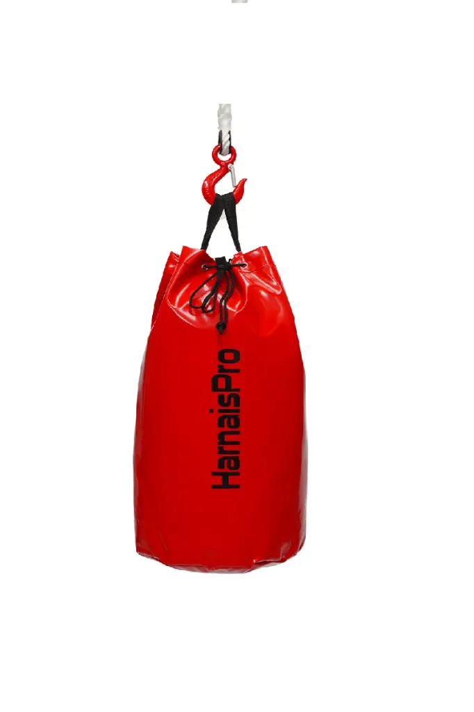 HISSEO